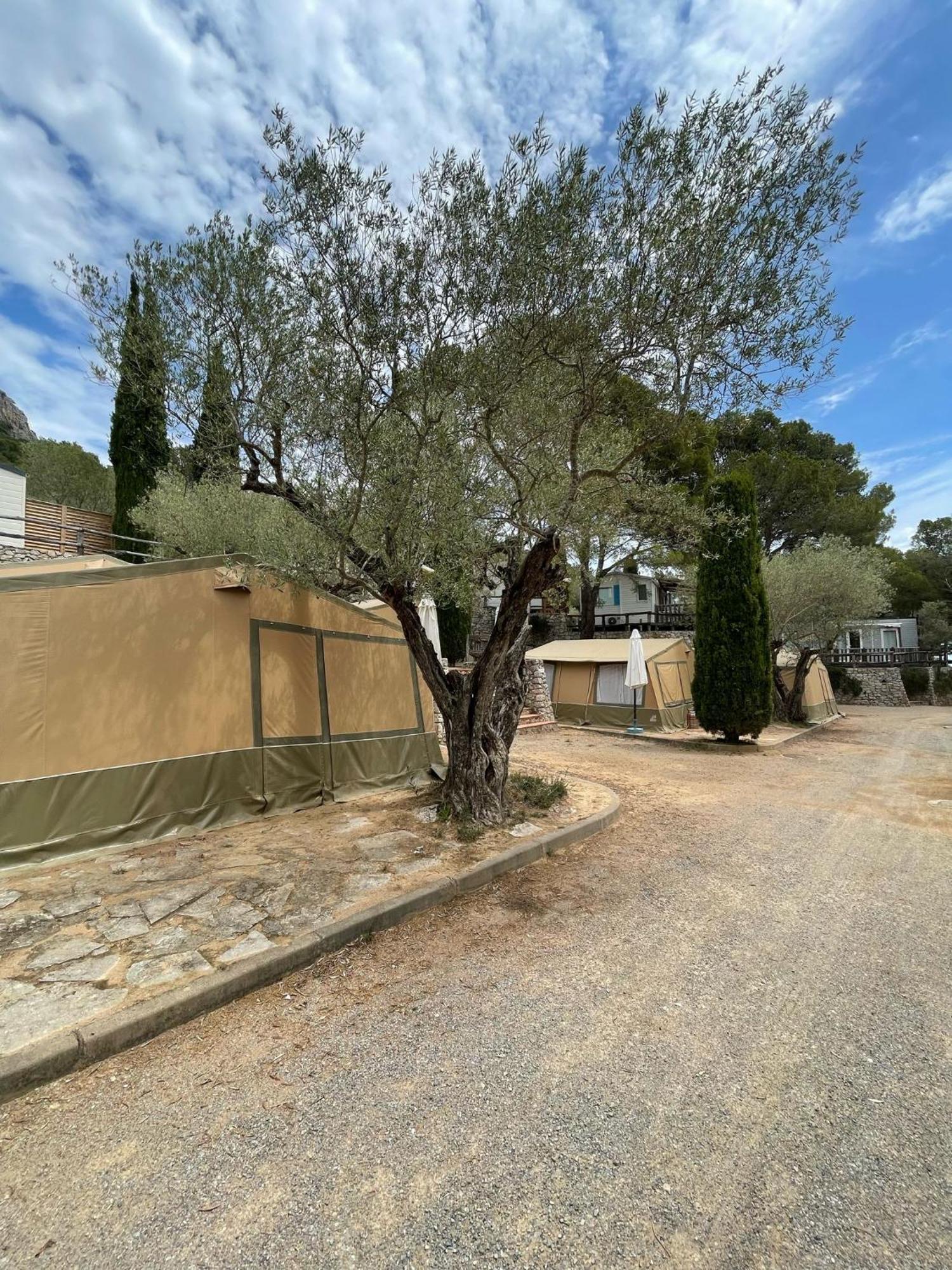 Camping Castell Montgri **** レスタルティット エクステリア 写真